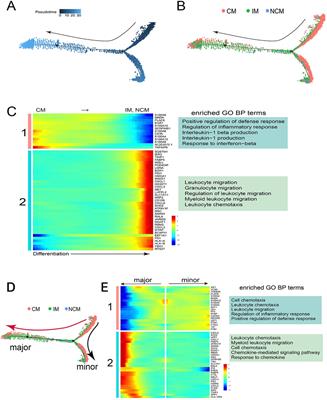 Single-cell transcriptomic landscape reveals the role of intermediate monocytes in aneurysmal subarachnoid hemorrhage